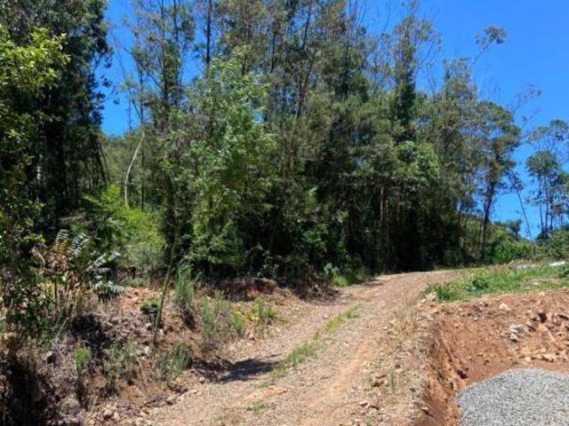 Sítio e chácara venda em Região Geográfica Imediata de Caxias do Sul, Gramado