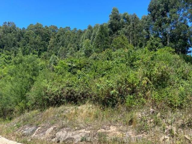 Sítio e chácara venda em Região Geográfica Imediata de Caxias do Sul, Gramado