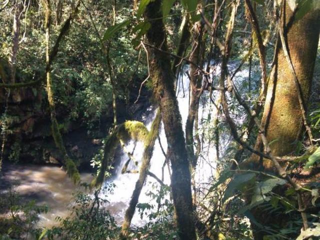Sítio e chácara venda em Região Geográfica Imediata de Caxias do Sul, Gramado