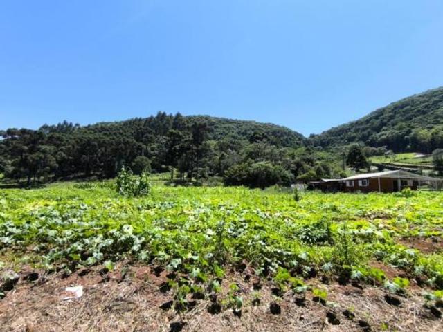 Sítio e chácara venda em Região Geográfica Imediata de Caxias do Sul, Gramado