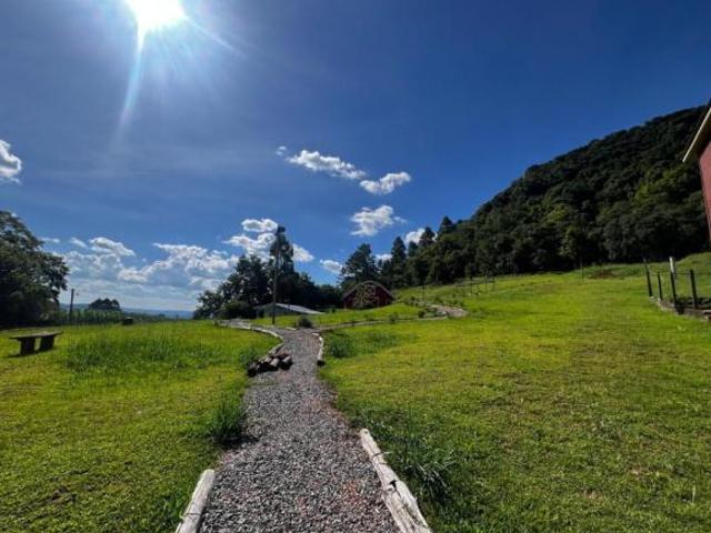 Sítio e chácara venda em Região Geográfica Imediata de Novo Hamburgo - São Leopoldo, Linha Nova