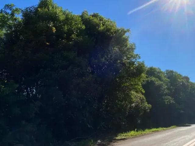 Fazenda venda em Região Geográfica Imediata de Caxias do Sul, Gramado