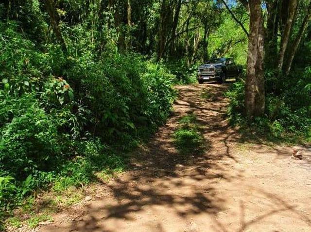 Sítio e chácara venda em Região Geográfica Imediata de Caxias do Sul, Gramado