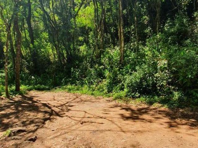 Sítio e chácara venda em Região Geográfica Imediata de Caxias do Sul, Gramado