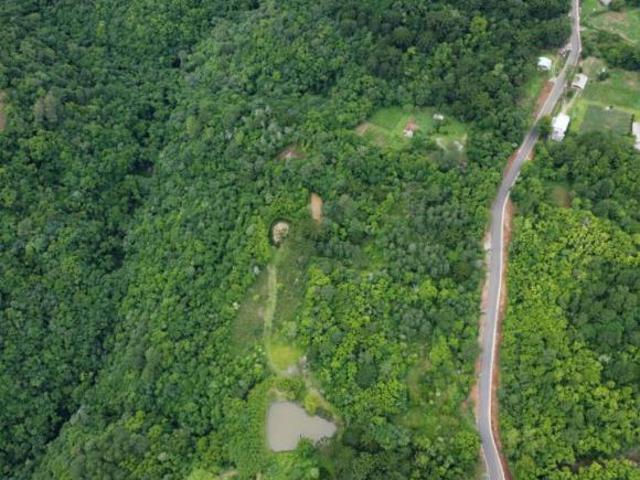 Sítio e chácara venda em Região Geográfica Imediata de Caxias do Sul, Gramado