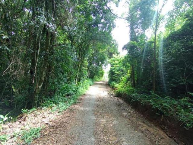 Sítio e chácara venda em Região Geográfica Imediata de Novo Hamburgo - São Leopoldo, Santa Maria do Herval