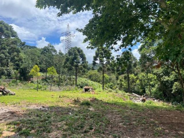 Sítio e chácara venda em Região Geográfica Imediata de Caxias do Sul, Gramado