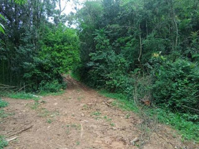 Sítio e chácara venda em Região Geográfica Imediata de Caxias do Sul, Gramado
