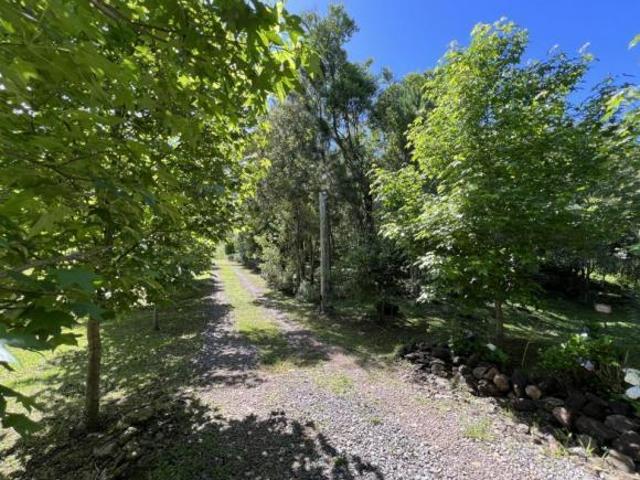 Sítio e chácara venda em Região Geográfica Imediata de Novo Hamburgo - São Leopoldo, Linha Nova