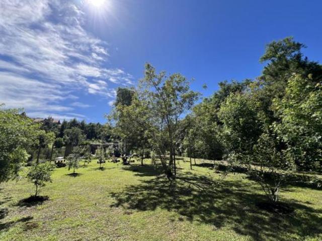 Sítio e chácara venda em Região Geográfica Imediata de Novo Hamburgo - São Leopoldo, Linha Nova