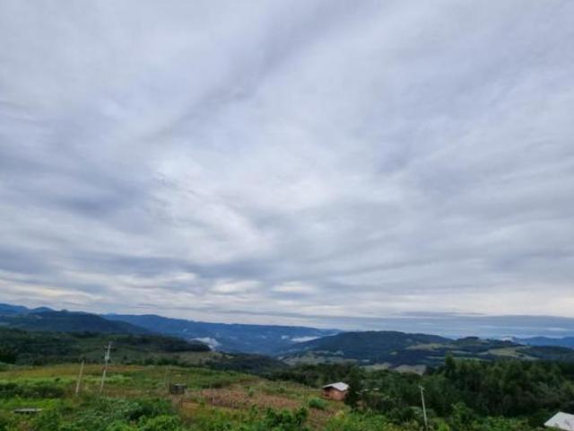 Sítio e chácara venda em Canela