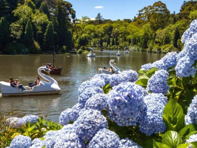 Fazenda venda em Região Geográfica Imediata de Caxias do Sul, Gramado