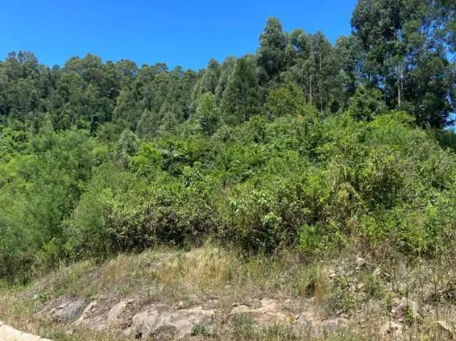 Fazenda venda em Região Geográfica Imediata de Caxias do Sul, Gramado