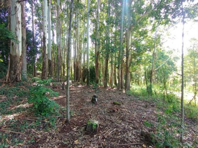 Sítio e chácara venda em Região Geográfica Imediata de Novo Hamburgo - São Leopoldo, Santa Maria do Herval
