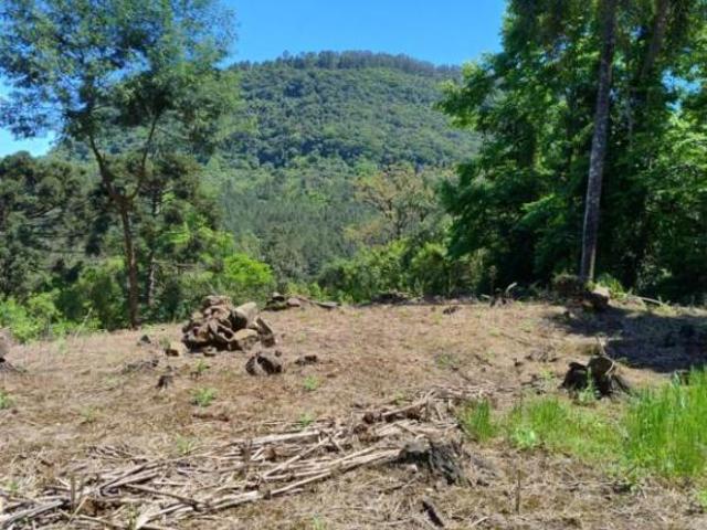 Sítio e chácara venda em Região Geográfica Imediata de Caxias do Sul, Canela