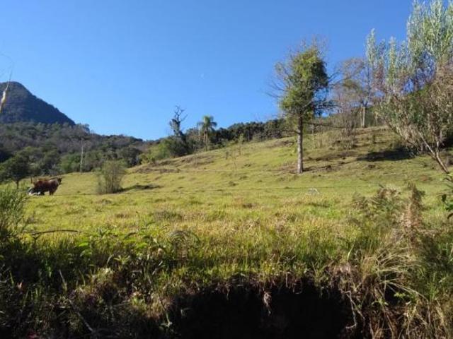 Sítio e chácara venda em Região Geográfica Imediata de Caxias do Sul, Canela