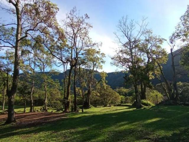 Sítio e chácara venda em Região Geográfica Imediata de Caxias do Sul, Gramado