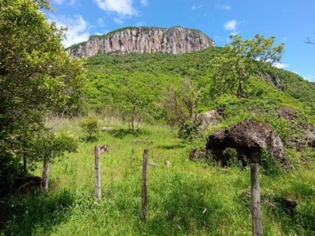 Sítio e chácara venda em Região Geográfica Imediata de Caxias do Sul, Gramado