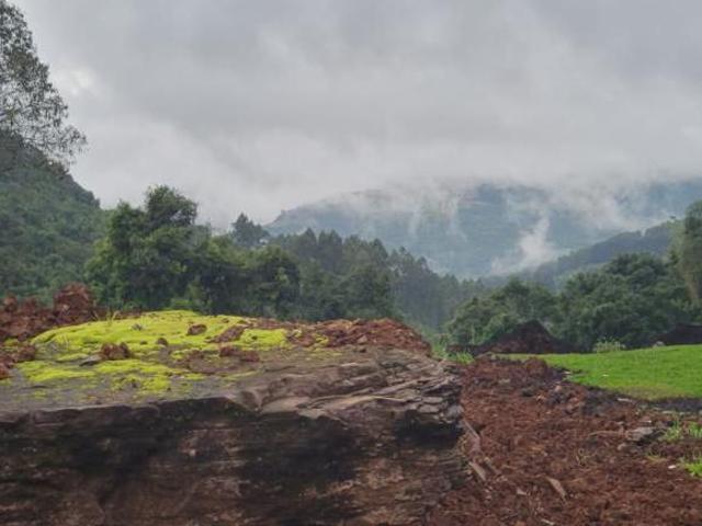 Sítio e chácara venda em Região Geográfica Imediata de Caxias do Sul, Nova Petrópolis