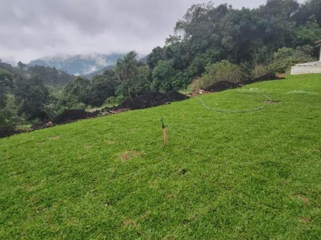 Sítio e chácara venda em Região Geográfica Imediata de Caxias do Sul, Nova Petrópolis