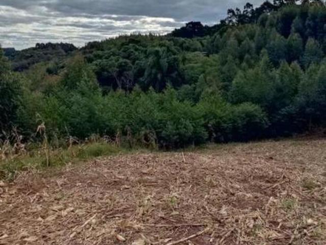 Sítio e chácara venda em Região Geográfica Imediata de Caxias do Sul, Nova Petrópolis