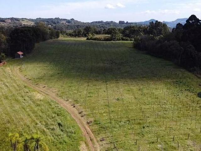 Sítio e chácara venda em Região Geográfica Imediata de Novo Hamburgo - São Leopoldo, Santa Maria do Herval