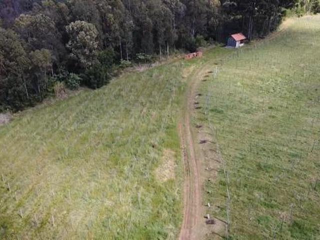 Sítio e chácara venda em Região Geográfica Imediata de Novo Hamburgo - São Leopoldo, Santa Maria do Herval