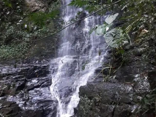Sítio e chácara venda em Região Geográfica Imediata de Novo Hamburgo - São Leopoldo, Santa Maria do Herval
