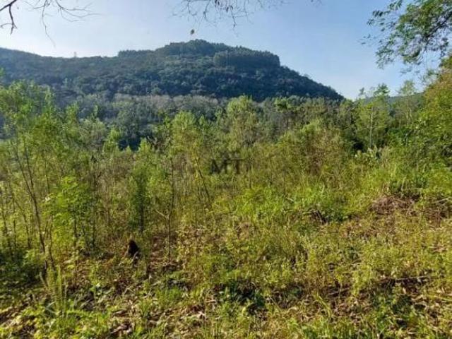 Sítio e chácara venda em Região Geográfica Imediata de Novo Hamburgo - São Leopoldo, Linha Nova