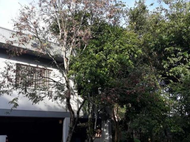 Sítio e chácara venda em Região Geográfica Imediata de Caxias do Sul, Feliz