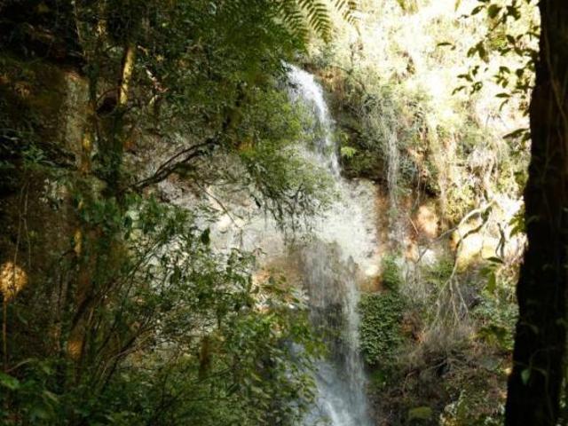 Sítio e chácara venda em Região Geográfica Imediata de Caxias do Sul, Canela