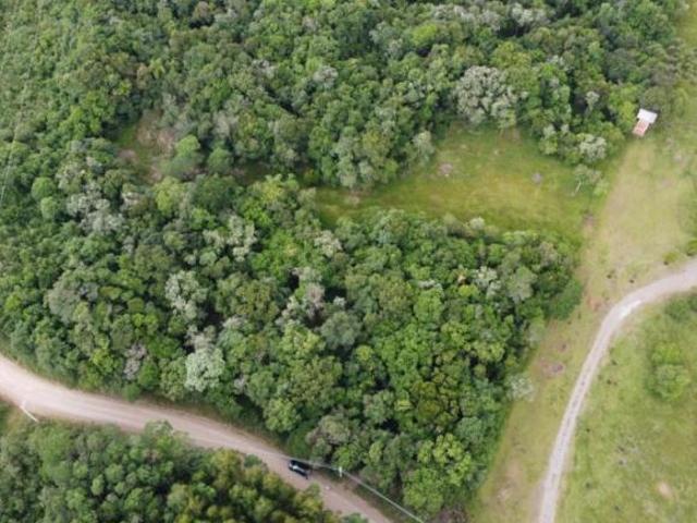 Sítio e chácara venda em Região Geográfica Imediata de Caxias do Sul, Gramado