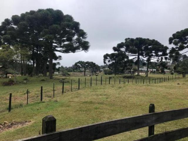 Sítio e chácara venda em Região Geográfica Imediata de Caxias do Sul, Gramado