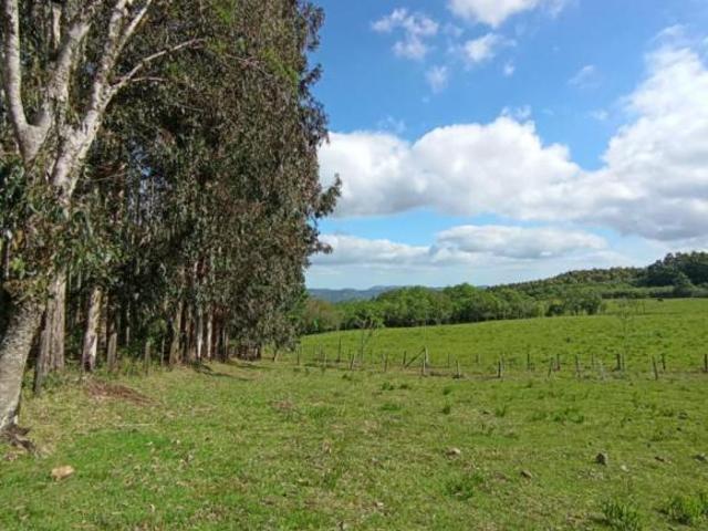 Sítio e chácara venda em Região Geográfica Imediata de Caxias do Sul, Gramado