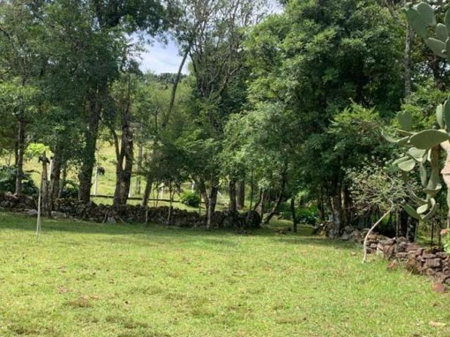 Sítio e chácara venda em Região Geográfica Imediata de Caxias do Sul, Gramado