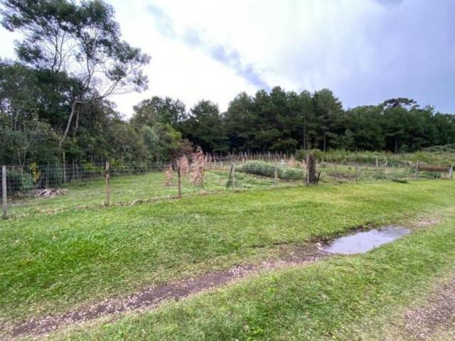 Sítio e chácara venda em Região Geográfica Imediata de Caxias do Sul, Gramado