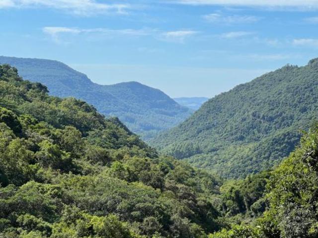 Sítio e chácara venda em Região Geográfica Imediata de Caxias do Sul, Canela