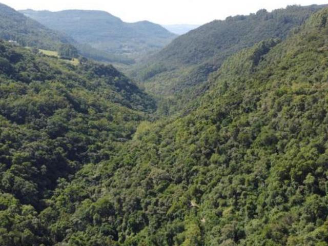 Sítio e chácara venda em Região Geográfica Imediata de Caxias do Sul, Canela