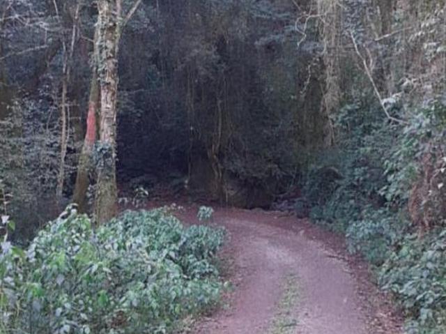 Sítio e chácara venda em Região Geográfica Imediata de Caxias do Sul, Nova Petrópolis