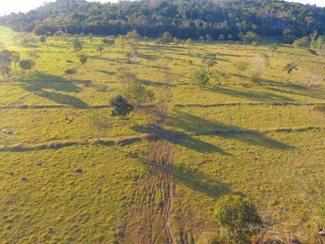Sítio e chácara venda em Região Geográfica Imediata de Peixoto de Azevedo - Guarantã do Norte, Guarantã do Norte