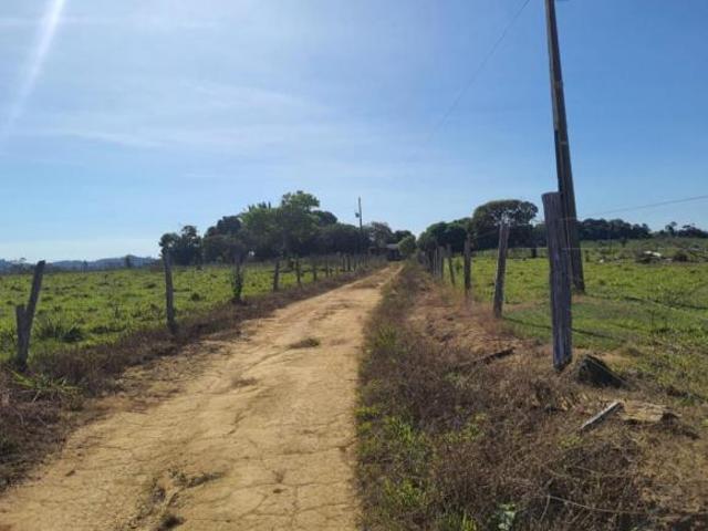 Sítio e chácara venda em Região Geográfica Imediata de Peixoto de Azevedo - Guarantã do Norte, Guarantã do Norte