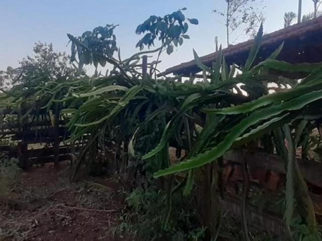 Sítio e chácara venda em Região Imediata de Jaú, Bariri