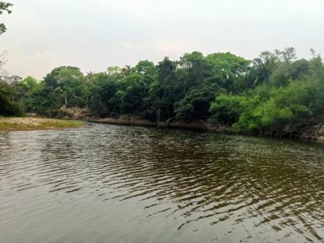 Sítio e chácara venda em Região Geográfica Imediata de Uruaçu - Niquelândia, Colinas do Sul