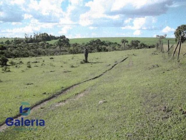 Sítio e chácara venda em Região Imediata de Ribeirão Preto, Região Metropolitana de Ribeirão Preto