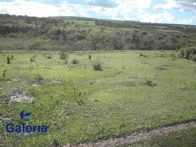 Sítio e chácara venda em Região Imediata de Ribeirão Preto, Região Metropolitana de Ribeirão Preto