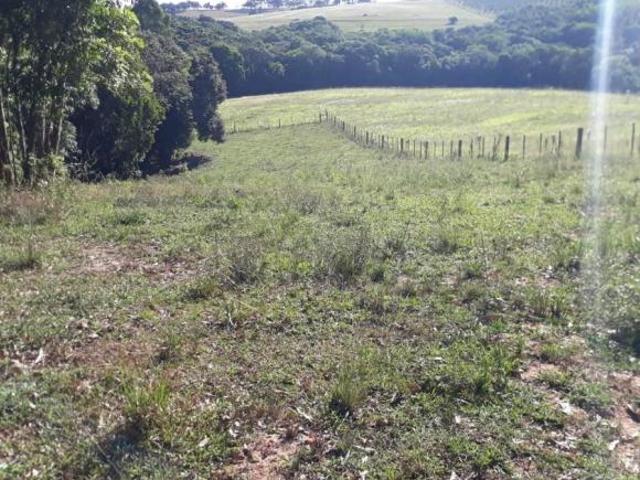 Sítio e chácara venda em Região Geográfica Imediata de Camaquã, Sentinela do Sul