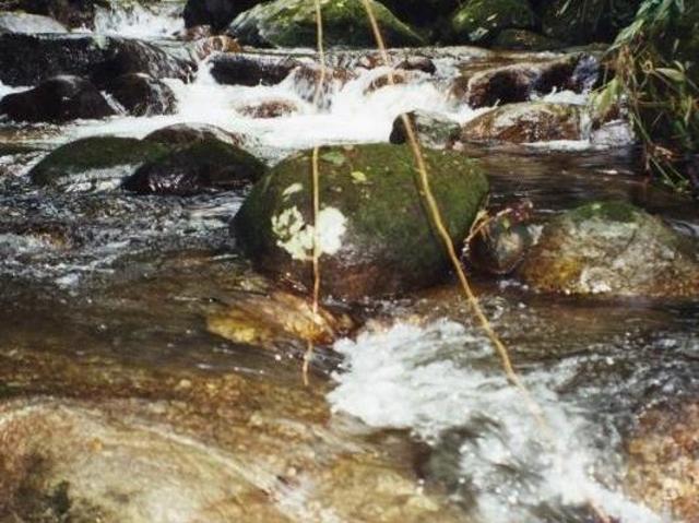 Sítio e chácara venda em Região Imediata de Caraguatatuba-Ubatuba-São Sebastião, Região Metropolitana do Vale do Paraíba e Litoral Norte