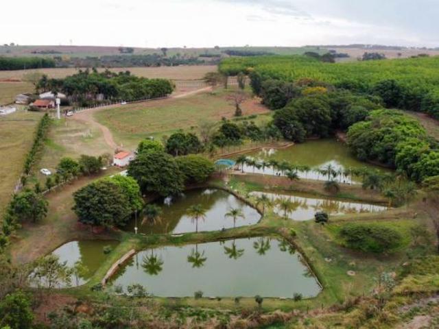 Sítio e chácara venda em Região Imediata de São José do Rio Preto, Região Metropolitana de São José do Rio Preto