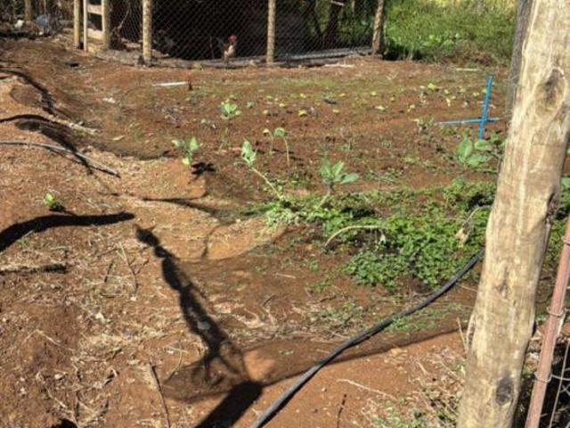 Sítio e chácara venda em Região Geográfica Imediata de Conselheiro Lafaiete, Belo Vale