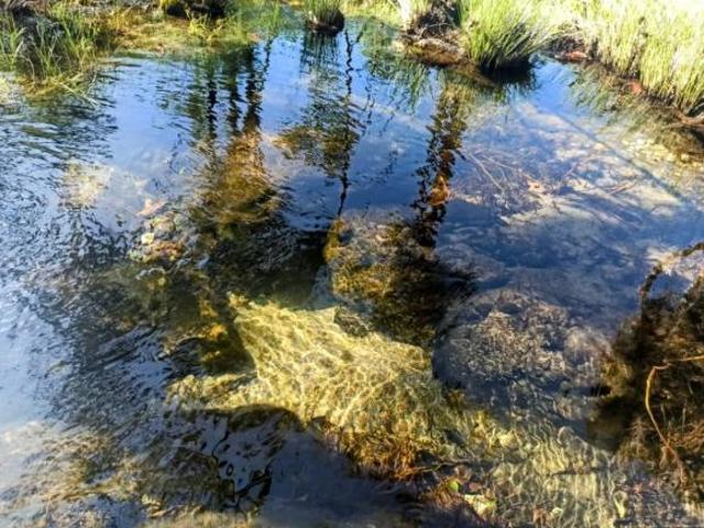 Sítio e chácara venda em Região Geográfica Imediata de Uruaçu - Niquelândia, Colinas do Sul
